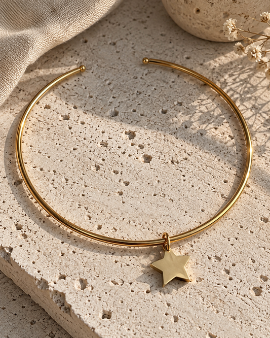 Stela Choker Necklace